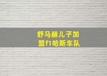 舒马赫儿子加盟f1哈斯车队