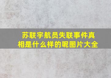 苏联宇航员失联事件真相是什么样的呢图片大全