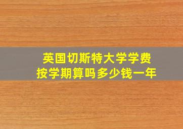 英国切斯特大学学费按学期算吗多少钱一年