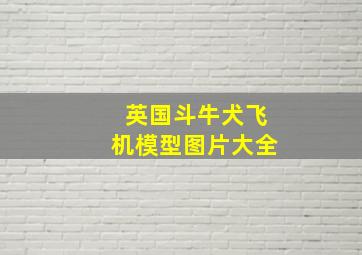 英国斗牛犬飞机模型图片大全