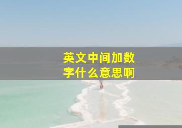 英文中间加数字什么意思啊