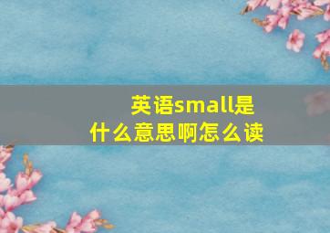 英语small是什么意思啊怎么读