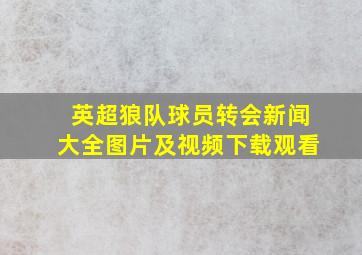 英超狼队球员转会新闻大全图片及视频下载观看