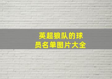 英超狼队的球员名单图片大全