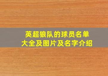 英超狼队的球员名单大全及图片及名字介绍