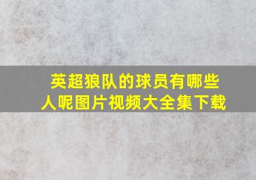 英超狼队的球员有哪些人呢图片视频大全集下载