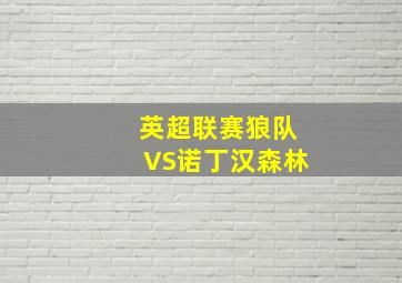 英超联赛狼队VS诺丁汉森林