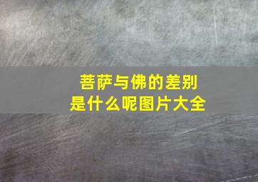 菩萨与佛的差别是什么呢图片大全