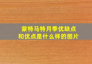 蒙特马特月季优缺点和优点是什么样的图片