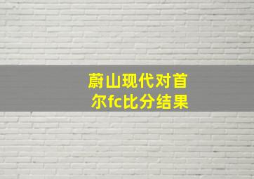 蔚山现代对首尔fc比分结果