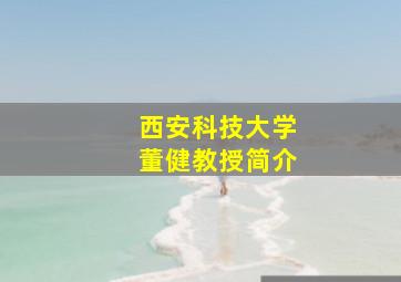 西安科技大学董健教授简介