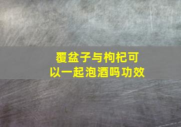 覆盆子与枸杞可以一起泡酒吗功效