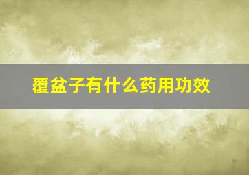 覆盆子有什么药用功效