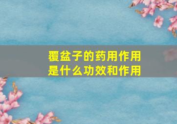 覆盆子的药用作用是什么功效和作用