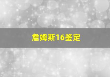 詹姆斯16鉴定