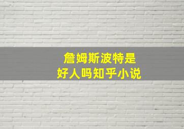 詹姆斯波特是好人吗知乎小说