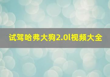 试驾哈弗大狗2.0l视频大全