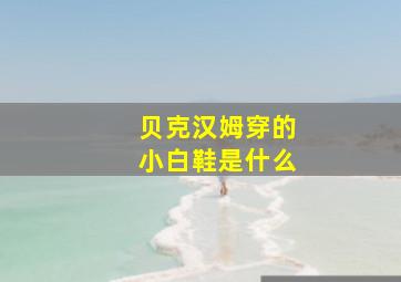 贝克汉姆穿的小白鞋是什么