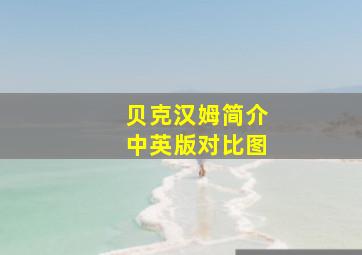 贝克汉姆简介中英版对比图