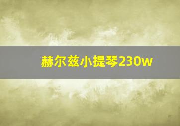 赫尔兹小提琴230w