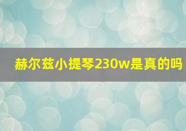 赫尔兹小提琴230w是真的吗