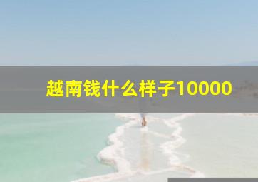 越南钱什么样子10000