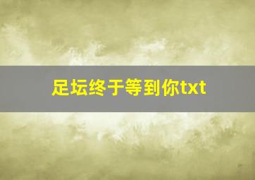 足坛终于等到你txt