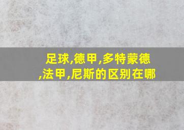 足球,德甲,多特蒙德,法甲,尼斯的区别在哪