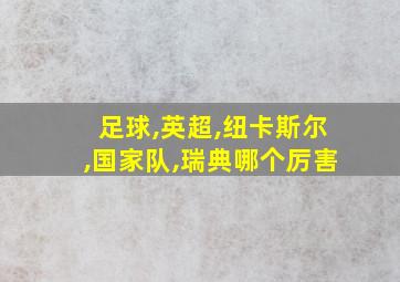 足球,英超,纽卡斯尔,国家队,瑞典哪个厉害