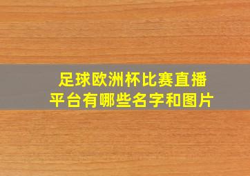 足球欧洲杯比赛直播平台有哪些名字和图片