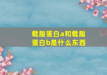 载脂蛋白a和载脂蛋白b是什么东西