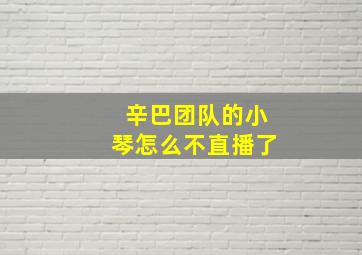 辛巴团队的小琴怎么不直播了