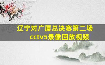 辽宁对广厦总决赛第二场cctv5录像回放视频