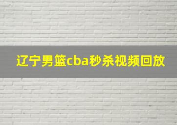 辽宁男篮cba秒杀视频回放