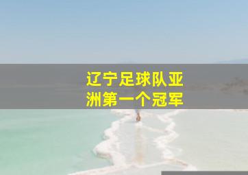 辽宁足球队亚洲第一个冠军