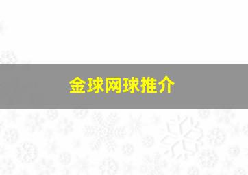 金球网球推介