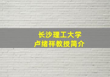 长沙理工大学卢绪祥教授简介