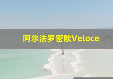 阿尔法罗密欧Veloce