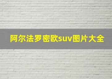 阿尔法罗密欧suv图片大全