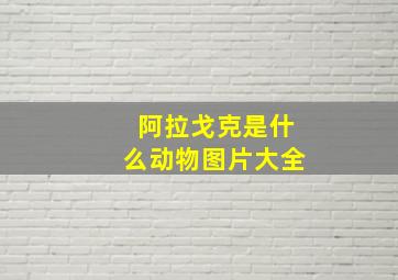 阿拉戈克是什么动物图片大全