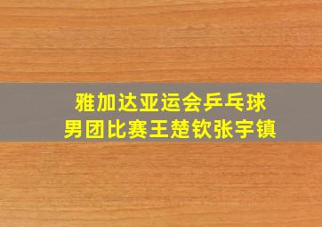 雅加达亚运会乒乓球男团比赛王楚钦张宇镇