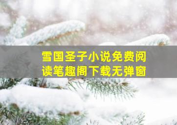 雪国圣子小说免费阅读笔趣阁下载无弹窗