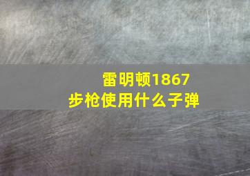 雷明顿1867步枪使用什么子弹