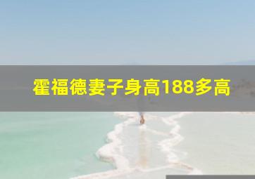 霍福德妻子身高188多高