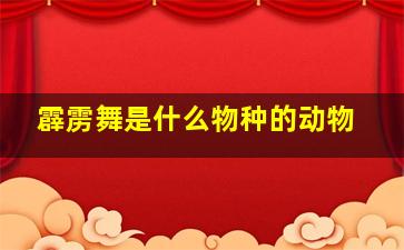 霹雳舞是什么物种的动物