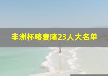 非洲杯喀麦隆23人大名单