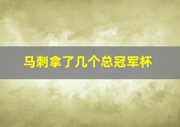 马刺拿了几个总冠军杯