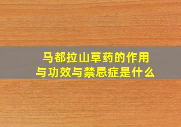 马都拉山草药的作用与功效与禁忌症是什么