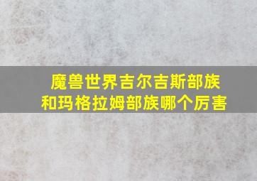 魔兽世界吉尔吉斯部族和玛格拉姆部族哪个厉害