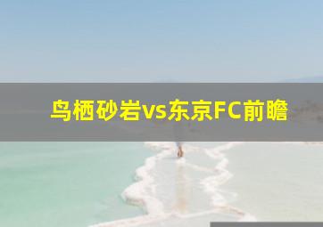 鸟栖砂岩vs东京FC前瞻